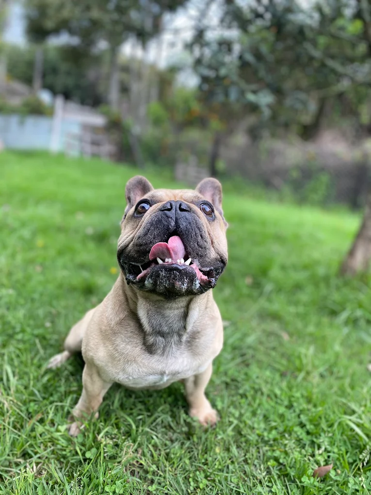 Siguiente testimonio